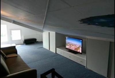 Apartament cu 2 camere,tip Penthouse, DECOMANDAT, zona Nicolina - 3