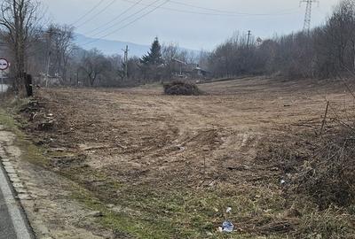 Spațiu comercial, în Eșelnița - 3