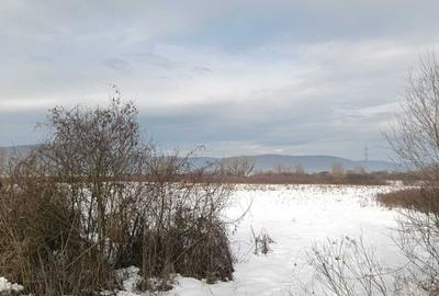 320 ha pasune si pasune impadurite pentru arenda, superficie sau achititie - 2