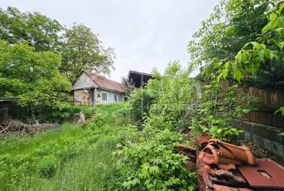 Teren intravilan 799mp | 16,7m front | Grigorescu | Zona str. Petuniei - 1