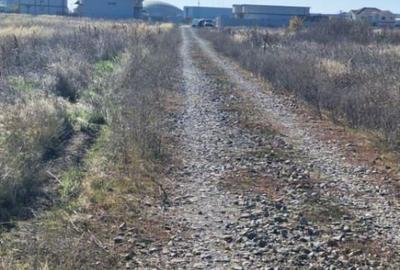 Teren intravilan 1000 mp Magnolia - 1