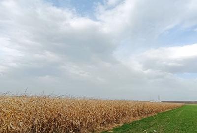 Teren intravilan industrial,str.Durau - 3