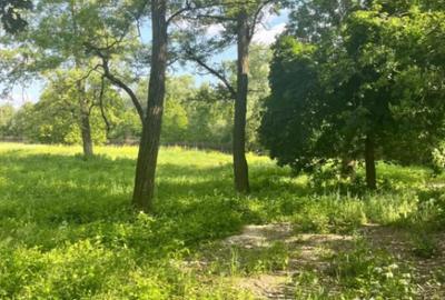 Teren de 10000 mp, în Vicovu de Sus - 6