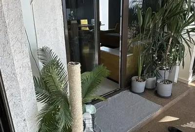 Casă cu 4 camere cu Canalizare în Bălăceanca - 20