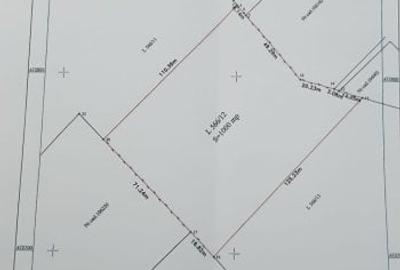 Teren Construcții extravilan de 10000 mp, în Bod - 3