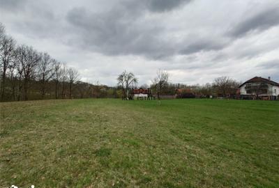 Teren de 9370 mp, în Baia de Criș - 12