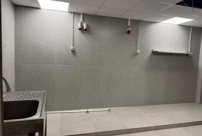 Spațiu comercial, de 267 mp, în P-ța Victoriei - 3