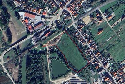 RECO Teren intravilan 13.500 mp Beius - 2