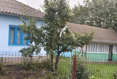 Casa, grajd, gradina plus dependinte - 3