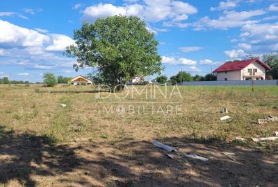 Teren intravilan cu PUZ, situat in Targu-Jiu, Slobozia - 2