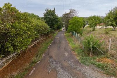 Teren de 1584 mp, în Murani - 4