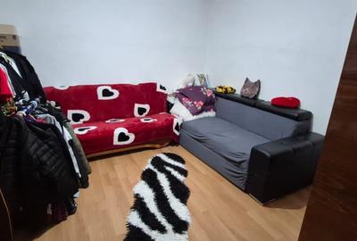 Casa parter recent renovata 116mp utili si 478mp teren pe strada Brestei - 8