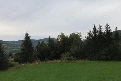 Teren 5023 mp In Bucovina Zona Manastirea Voronet De Vanzare 0727817187 - 7