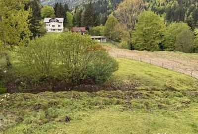 Teren de 2770 mp, în Est - 5