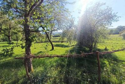 Descopera casu?a ta de vis la poalele Mun?ilor Apuseni - 4