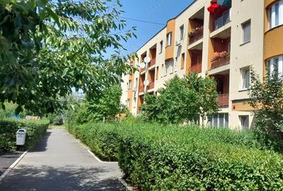 Garsonieră decomandată în Mărăști - 5