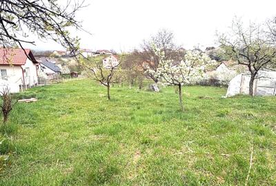 Teren Construcții intravilan de 600 mp, în Dumbrava 2 - 2