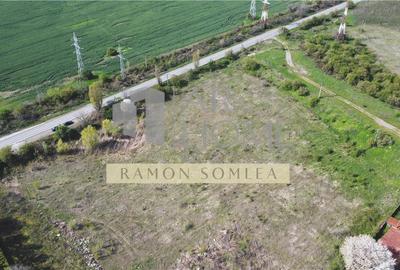 Teren Construcții intravilan de 16142 mp, în Est - 2