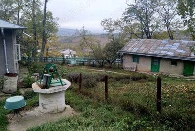 Casa batraneasca cu gradina in Botosani - 4