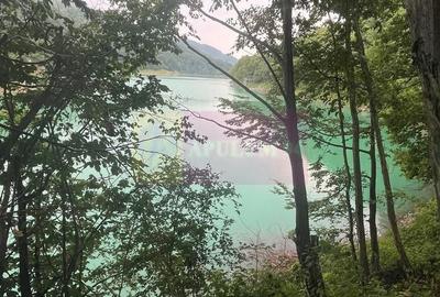 Teren Construcții intravilan de 1653 mp, în Valea Doftanei - 14