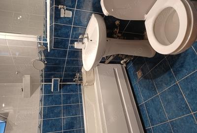 Ofer spre inchiriere apartament 3 camere cart. Obcini - 9