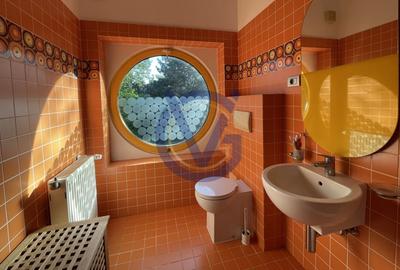 Casă individuală cu 15 camere cu Canalizare în Iancu Nicolae - 39