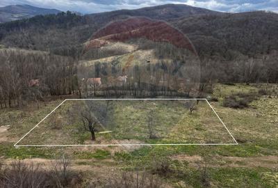 Teren Construcții intravilan de 12458 mp, în Văleni (Meteș) - 5