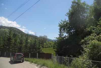 Teren de 10000 mp, în Central - 17