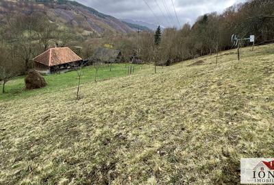 Casa de vanzare in Muntii Apuseni cu 17.596 mp teren - 2