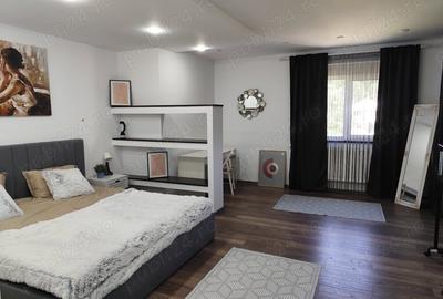 Casă cu 6 camere în Otopeni