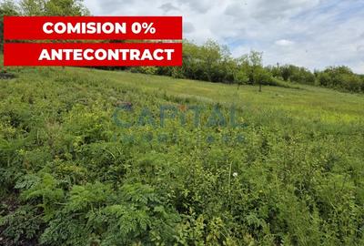 Teren Construcții intravilan de 1663 mp, în Dezmir - 7