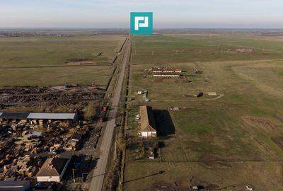 Hală industrială cu teren generos în Zărand, Arad - 51