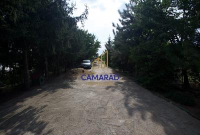 Casa - hala si teren de 9000 mp - ideal investitie - Fundeni/Calarasi - 5