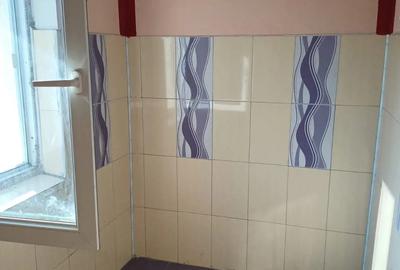 Vand garsoniera localitatea Ticleni - 3