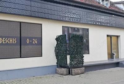 Spațiu comercial, de 160 mp, în Șagului - 5