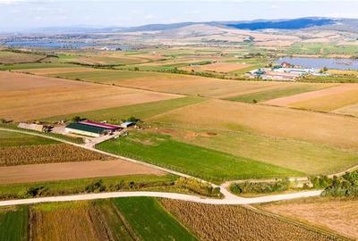 FILM! 18.000 mp,extravilan,agricol+constructii, recomandat:ferma,investitii agri - 4