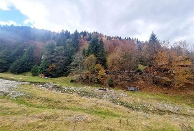 Teren intravilan panoramic 4.600mp,view iconic Piatra Craiului,oportunitate prem - 15
