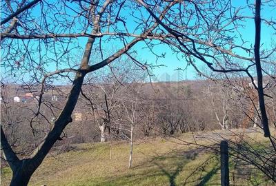 Bucium, Fundac Paun, teren1500mp. intravilan str asfaltata - 3