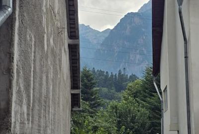 Studio parter cu terasa  Busteni Zamora DIRECT PROPRIETAR - 10