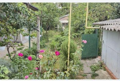 Teren de 343 mp, în Tei