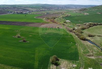 Teren Construcții extravilan de 8600 mp, în Luna de Jos - 16