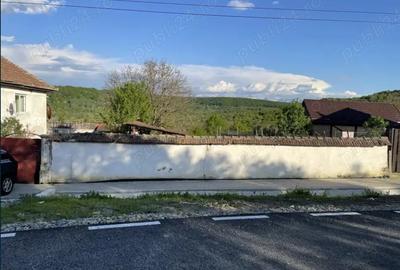 Vand casa Nucet Sibiu - 8