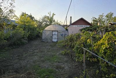 Casă cu 5 camere în Brăgăreasa - 4