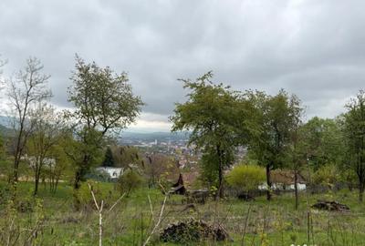 Teren în Central - 1