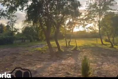 Casă cu 3 camere cu Teren 2000 Mp în Băcia - 11