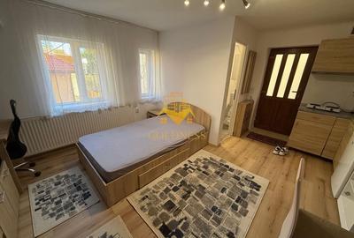 1 camera, Ultracentral, UMF, Hasdeu, Clinicilor, Republicii 1 camera, Ultracentral, UMF, Hasdeu, Clinicilor, Republicii - 3