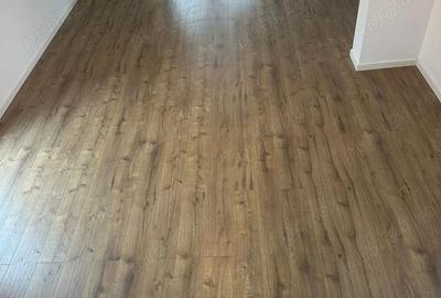 Casă cu Teren 350 Mp în Dragomirești-Deal - 7