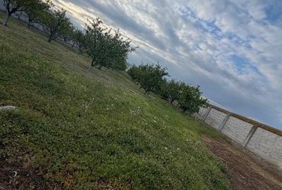Teren Construcții intravilan de 1500 mp, în Racovița - 5