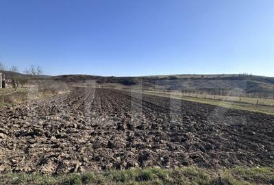 Teren intravilan 5.800 mp, poten?ial de parcelare-construc? - 2