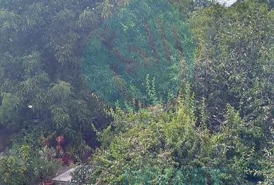 Teren constructii intavilan de 600 mp, Popesti-Leordeni - 3